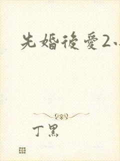 先婚后爱2小说封面