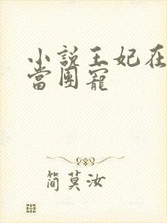 小说王妃在京城当团宠