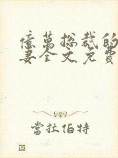 亿万总裁的隐婚妻全文免费阅读