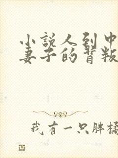 小说人到中年:妻子的背叛免费阅读全本