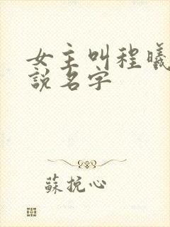 女主叫程曦的小说名字