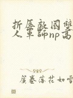 折辱敌国双性美人军师np高h封面