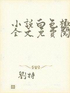 小说白色橄榄树全文免费阅读封面