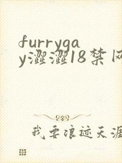 furrygay涩涩18禁网站
