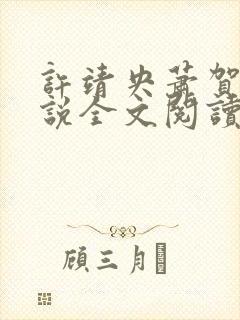 许靖央萧贺夜小说全文阅读最新章节封面