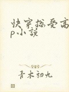 快穿总受高hnp小说