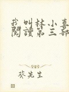 我叫林小喜全文阅读第三部