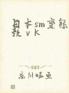日本sm变态调教ⅴk