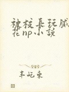 被校长玩腻的校花np小说