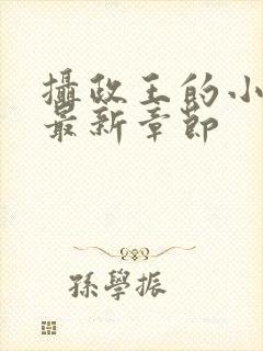 摄政王的小闲妻最新章节