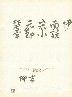 楚元宋南伊最新章节小说