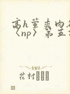 高h荤爽肉欲文〈np〉第五次