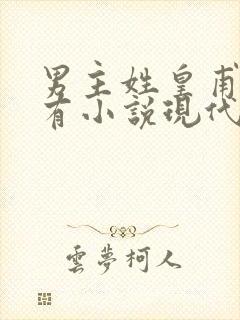 男主姓皇甫的所有小说现代言情封面