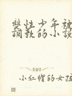 双性少年被绑架调教的小说