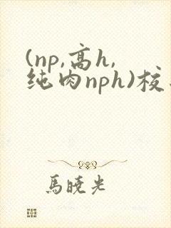 (np,高h,纯肉nph)校园