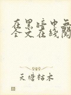 在黑暗中无删减全文在线阅读