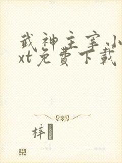武神主宰小说txt免费下载