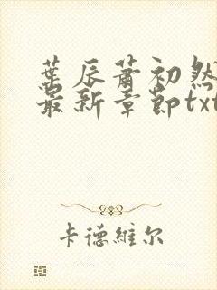 叶辰萧初然免费最新章节txt