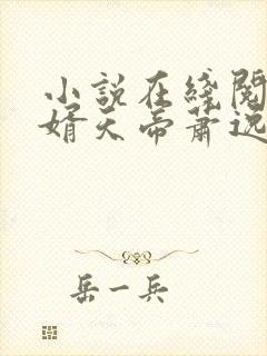 小说在线阅读赘婿天帝萧逸