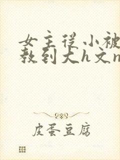 女主从小被肉调教到大h文np