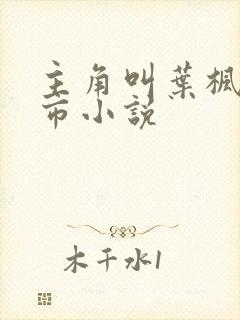 主角叫叶枫的都市小说