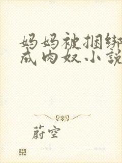 妈妈被捆绑调教成肉奴小说叫什么