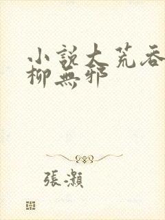 小说大荒吞天诀柳无邪