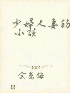 少妇人妻的欲望 小说封面