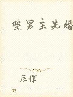 双男主先婚后爱