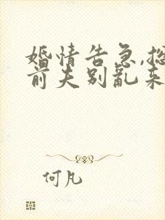 婚情告急,总裁前夫别乱来免费阅读