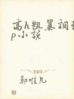 高h粗暴调教np小说