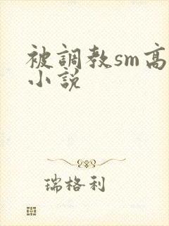 被调教sm高h小说封面