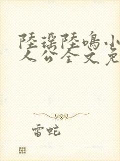 陆瑶陆鸣小说主人公全文免费阅读笔趣阁