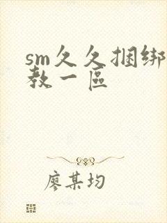 sm久久捆绑调教一区