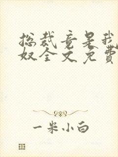 总裁竟是我的家奴全文免费阅读最新