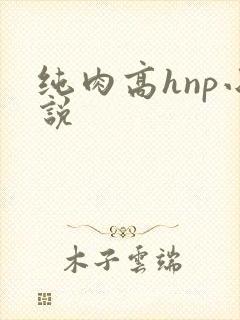 纯肉高hnp小说