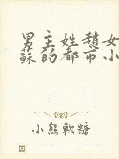 男主姓赵女主姓苏的都市小说封面