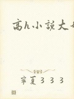 高h小说大奶