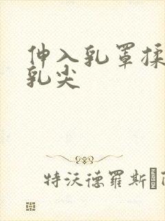 伸入乳罩揉她的乳尖