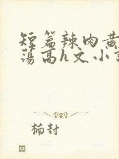 短篇辣肉黄辣放荡高h文小说