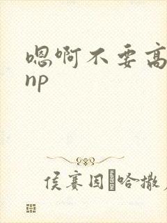 嗯啊不要高h np