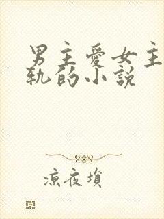 男主爱女主却出轨的小说封面