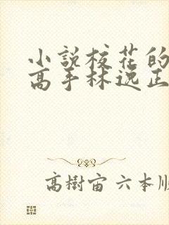 小说校花的贴身高手林逸正版全文下载