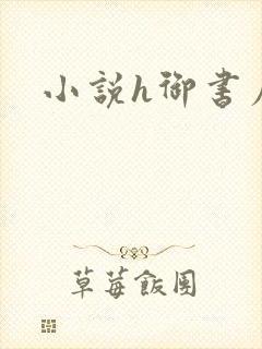 小说h御书屋封面