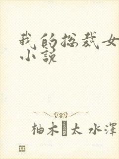 我的总裁女友 小说