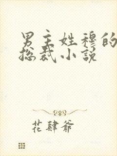 男主姓穆的霸道总裁小说封面