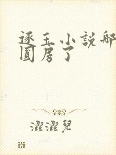 逐玉小说哪一章圆房了封面