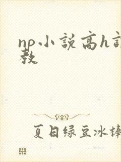 np小说高h调教