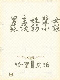 男主姓裴女主叫苏浅的小说