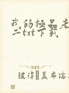 我的极品老婆小二txt下载